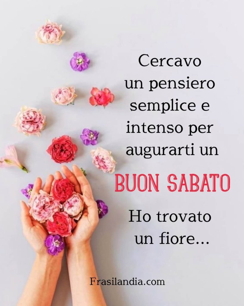 Cercavo un pensiero semplice e intenso per augurarti un BUON SABATO. Ho trovato un fiore.