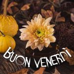 Buon venerdì