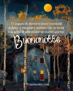 Ti auguro di dormire sonni tranquilli e dolci, e svegliarti domani con la forza e la gioia di affrontare un nuovo giorno! Buonanotte