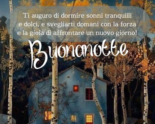 Ti auguro di dormire sonni tranquilli e dolci, e svegliarti domani con la forza e la gioia di affrontare un nuovo giorno! Buonanotte