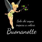 Solo chi sogna impara a volare. Buonanotte