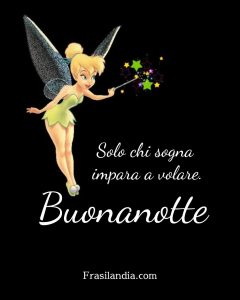 Solo chi sogna impara a volare. Buonanotte