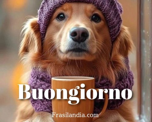 Buongiorno