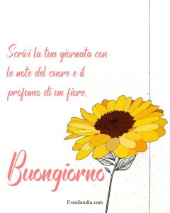 Scrivi la tua giornata con le note del cuore e il profumo di un fiore. Buongiorno