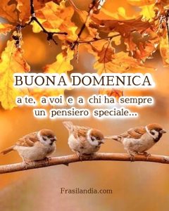 Buona Domenica a te, a voi e a chi ha sempre un pensiero speciale.