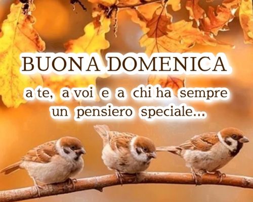 Buona Domenica a te, a voi e a chi ha sempre un pensiero speciale.