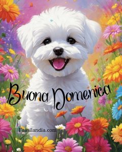 Buona Domenica