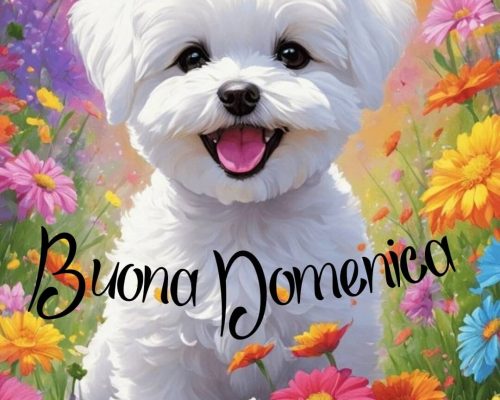 Buona Domenica