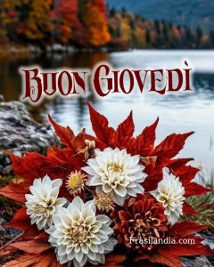 Buon Giovedì