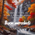 La natura ci ricorda che la vita è il dono più prezioso che abbiamo. Buon mercoledì