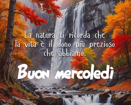 La natura ci ricorda che la vita è il dono più prezioso che abbiamo. Buon mercoledì