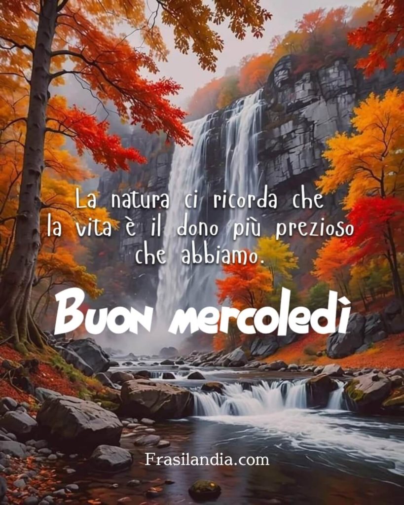 La natura ci ricorda che la vita è il dono più prezioso che abbiamo. Buon mercoledì