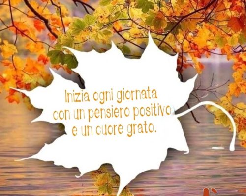 Inizia ogni giornata con un pensiero positivo e un cuore grato. Buon venerdì