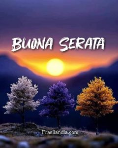 Buona serata