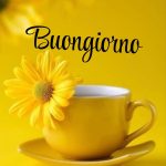 Buongiorno