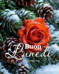 Buon lunedì