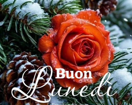 Buon lunedì