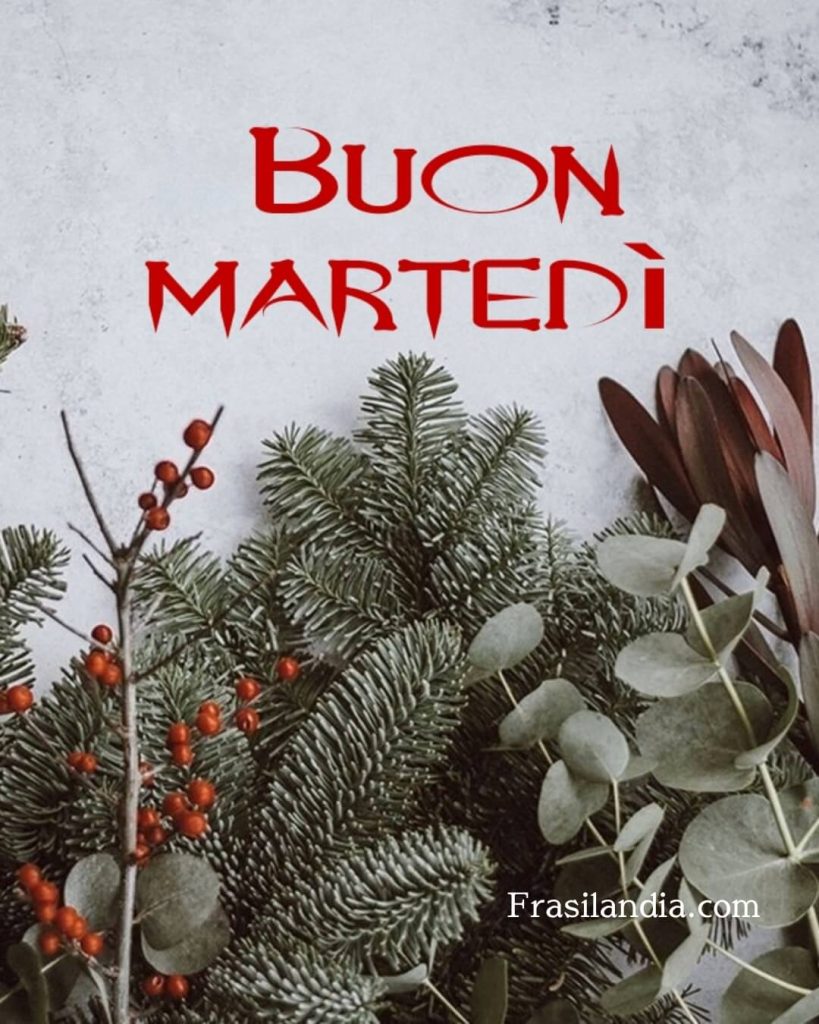 Buon martedì