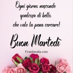 Ogni giorno nasconde qualcosa di bello che vale la pena cercare! Buon martedì