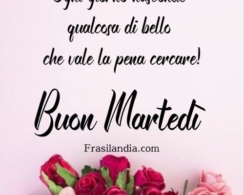 Ogni giorno nasconde qualcosa di bello che vale la pena cercare! Buon martedì