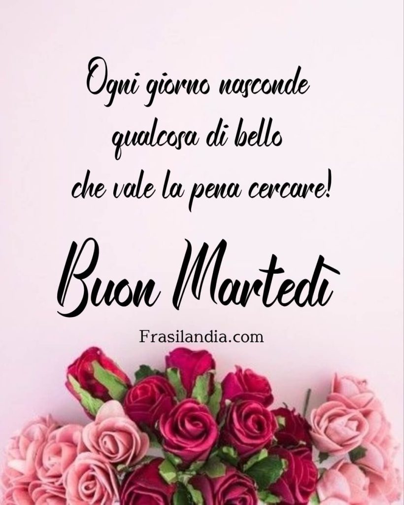 Ogni giorno nasconde qualcosa di bello che vale la pena cercare! Buon martedì