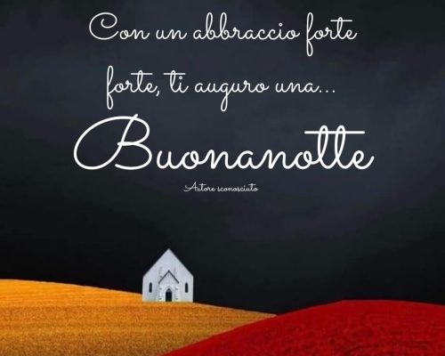 Con un abbraccio forte forte ti auguro una buonanotte.