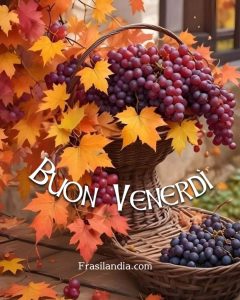 Buon venerdì