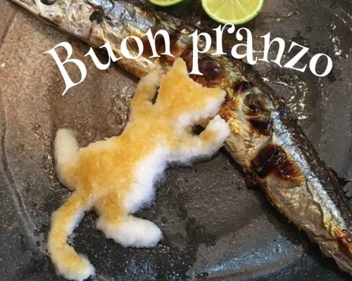 Buon pranzo