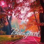 Buongiorno
