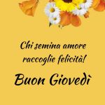 Chi semina amore raccoglie felicità. Buon Giovedì