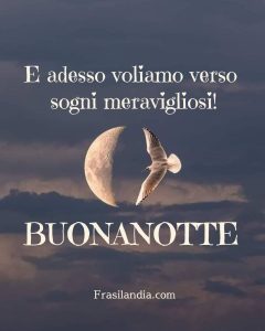 E adesso voliamo verso signi meravigliosi. Buonanotte