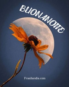 Buonanotte