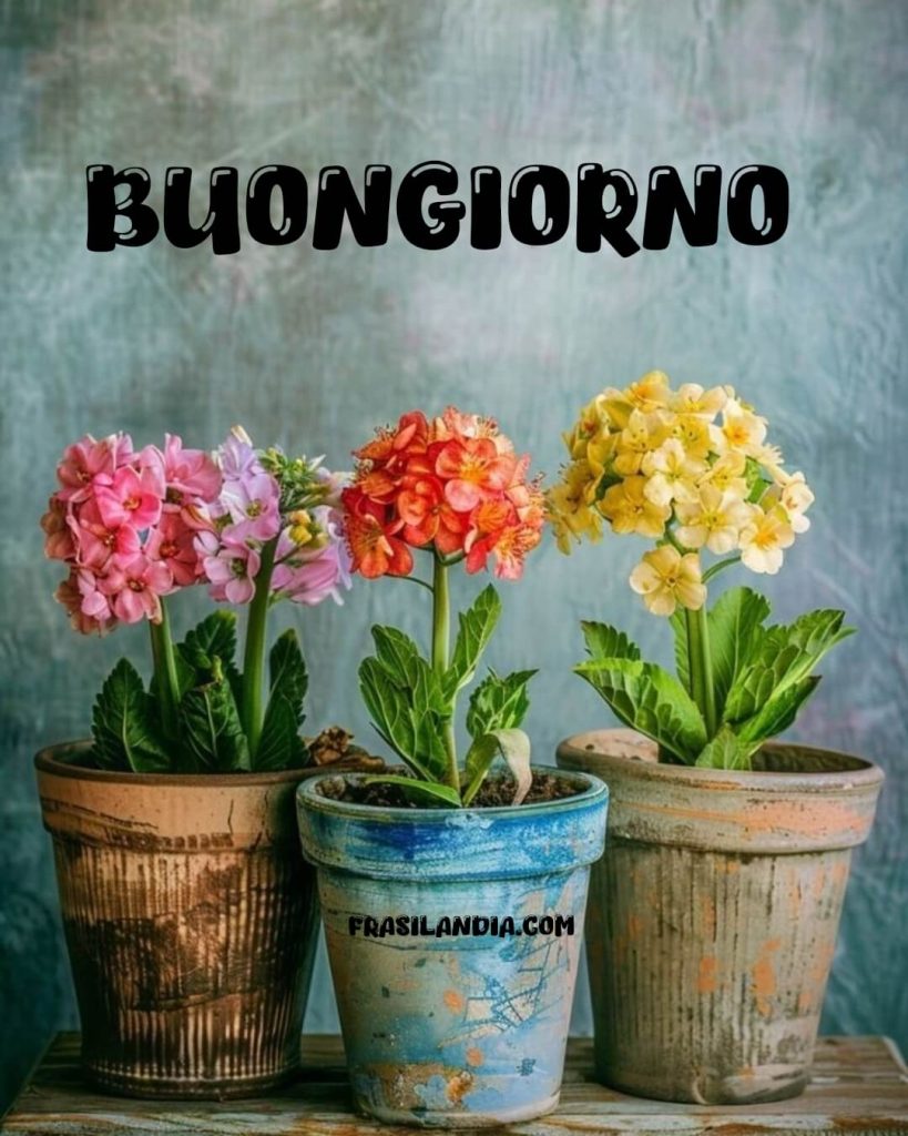 Buongiorno