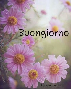 Buongiorno