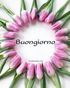Buongiorno