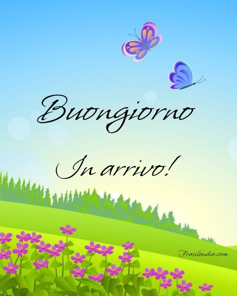 Buongiorno in arrivo.