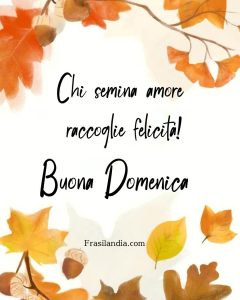 Chi semina amore raccoglie felicità! Buona Domenica
