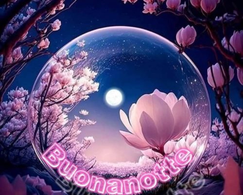 Buonanotte