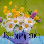 Buongiorno