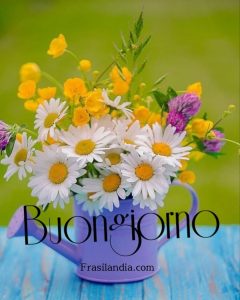 Buongiorno