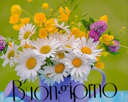 Buongiorno