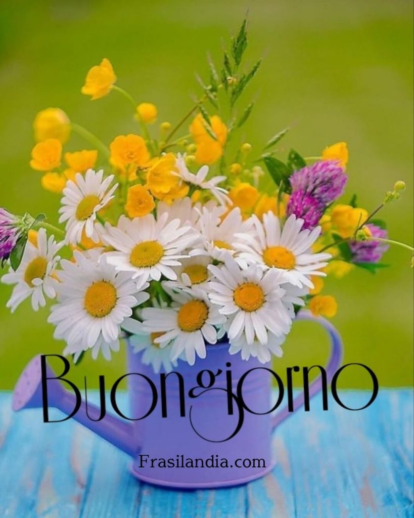 Buongiorno