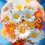 Buongiorno