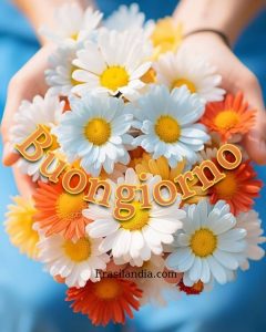 Buongiorno