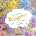 Arriva il buongiorno per te, il più bello che c'è!
