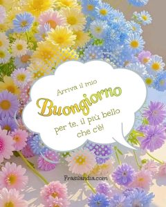Arriva il buongiorno per te, il più bello che c'è!
