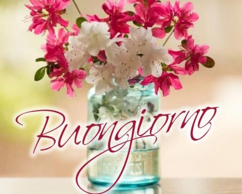 Buongiorno