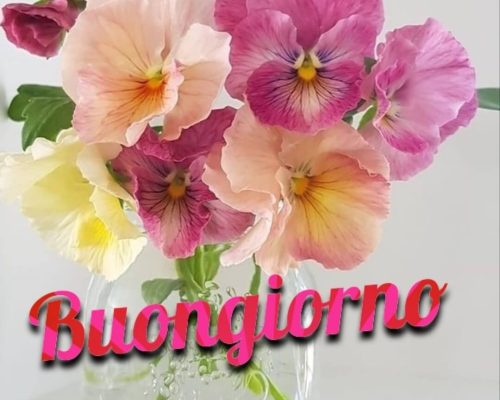Buongiorno