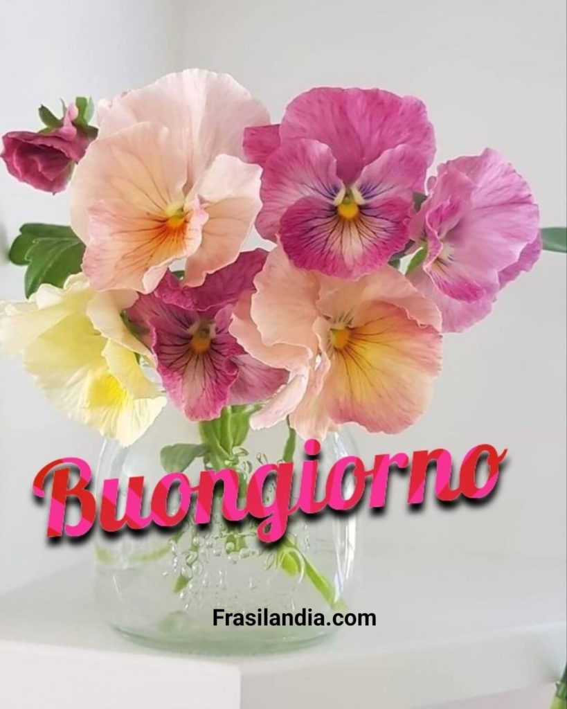 Buongiorno