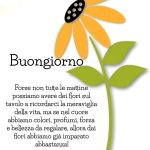 Forse non tutte le mattine possiamo avere dei fiori sul tavolo a ricordarci la meraviglia della vita, ma se nel cuore abbiamo colori, profumi, forza e bellezza da regalare, allora dai fiori abbiamo già imparato abbastanza! Buongiorno